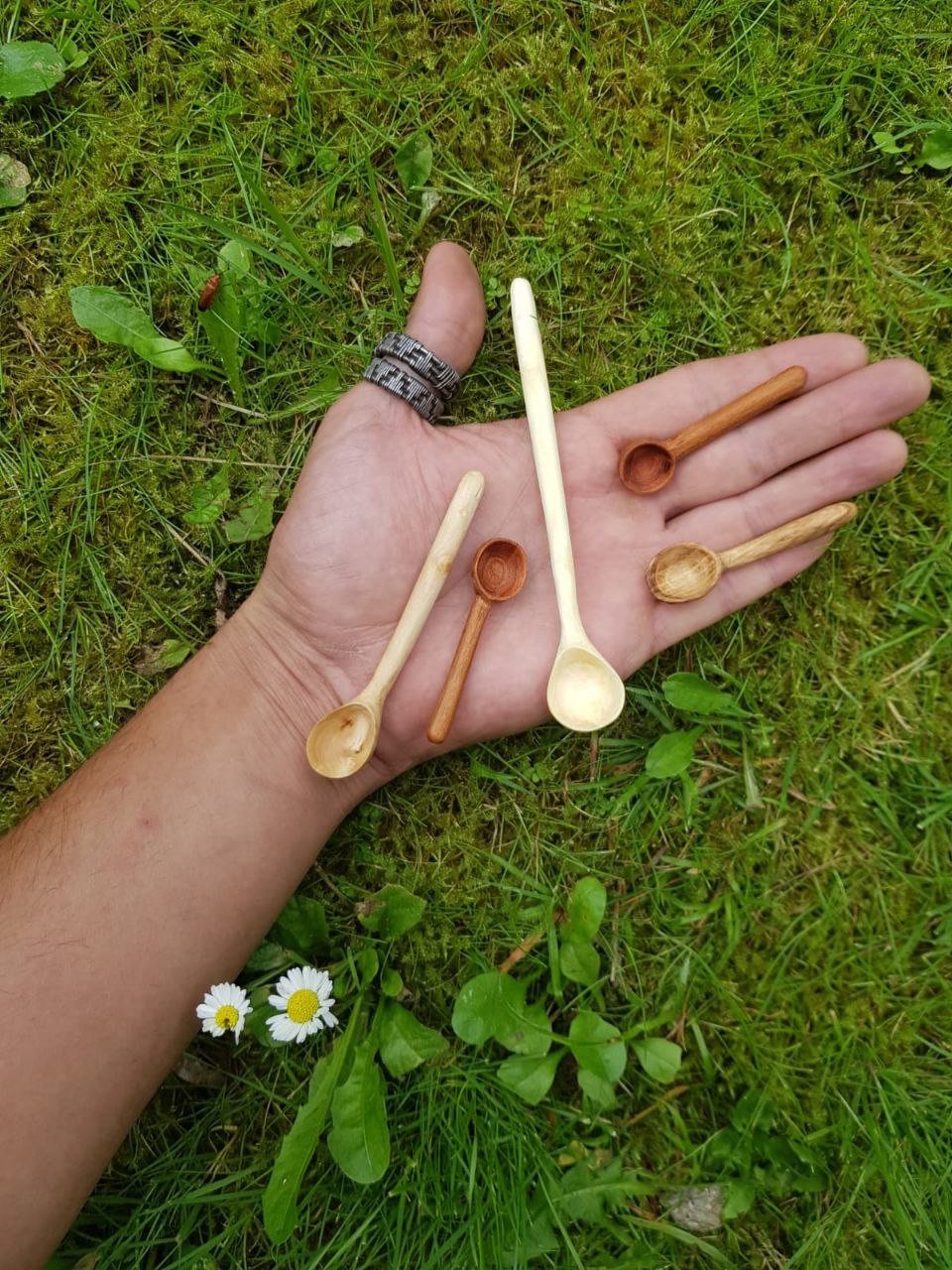 Miniaturitas en margaritas