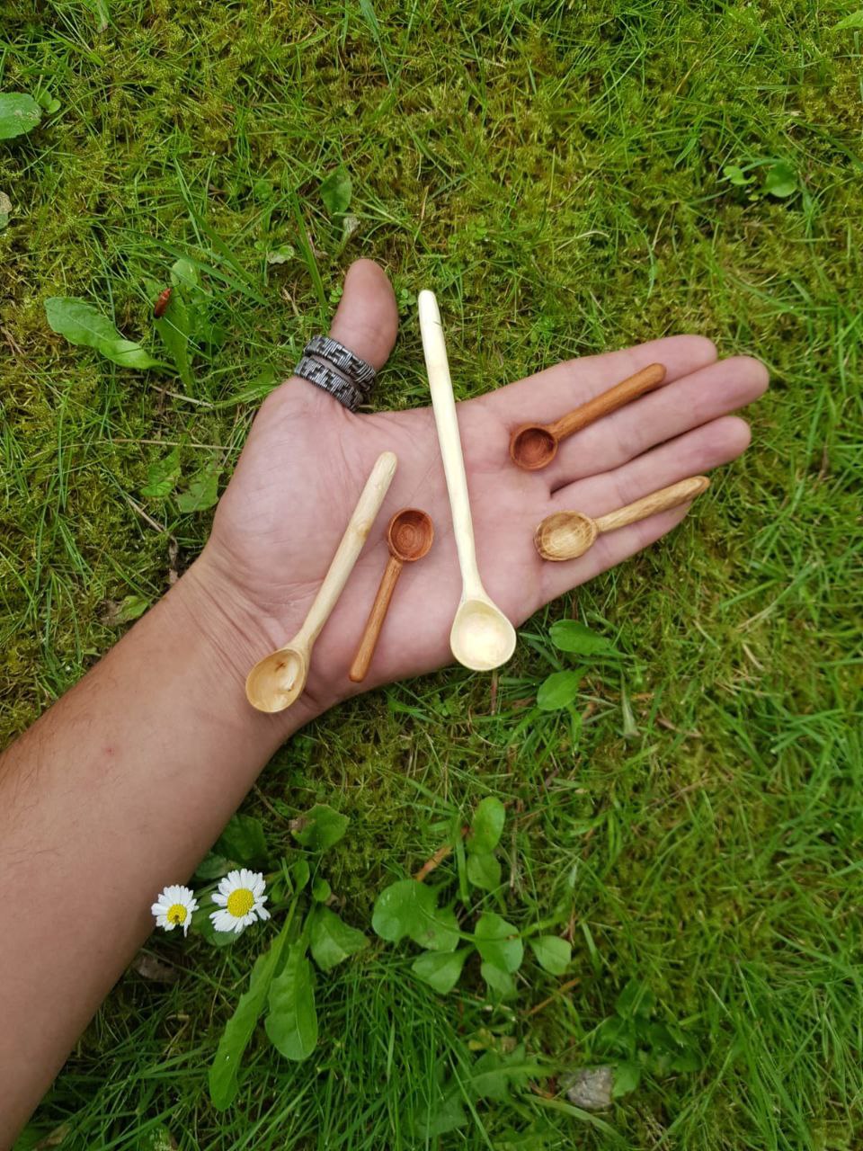 Miniaturitas angulo 2